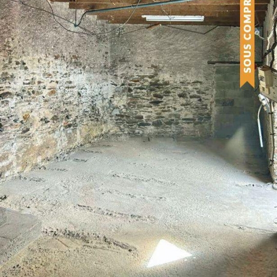  COEUR IMMOBILIER : Maison / Villa | THOUARE-SUR-LOIRE (44470) | 70 m2 | 103 390 € 