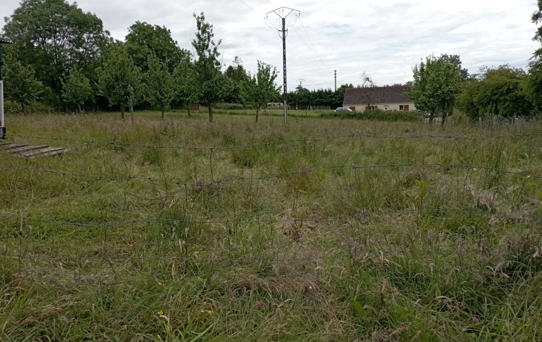 COEUR IMMOBILIER : Ground | LE TOURNEUR (14350) | 1 000 m2 | 30 000 € 
