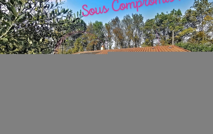 Maison SAINT-JULIEN-DE-CONCELLES 67 m2 229 000 € Maison SAINT-JULIEN-DE-CONCELLES 67 m2 229 000 €